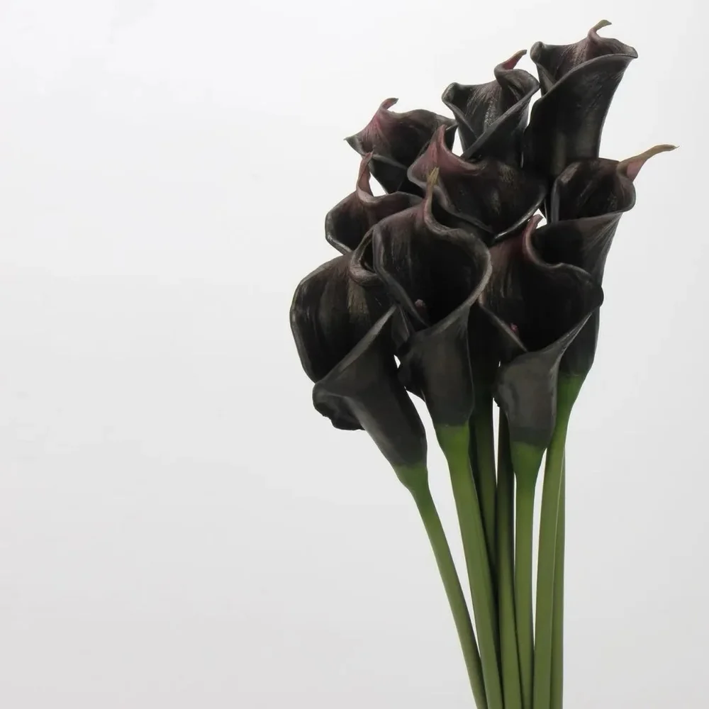Bundle Of 3 Black Real Touch Faux Calla Lily Stem - 25